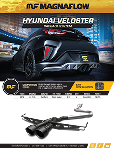 Image of Hyundai Veloster Cat-Back System PDF for download